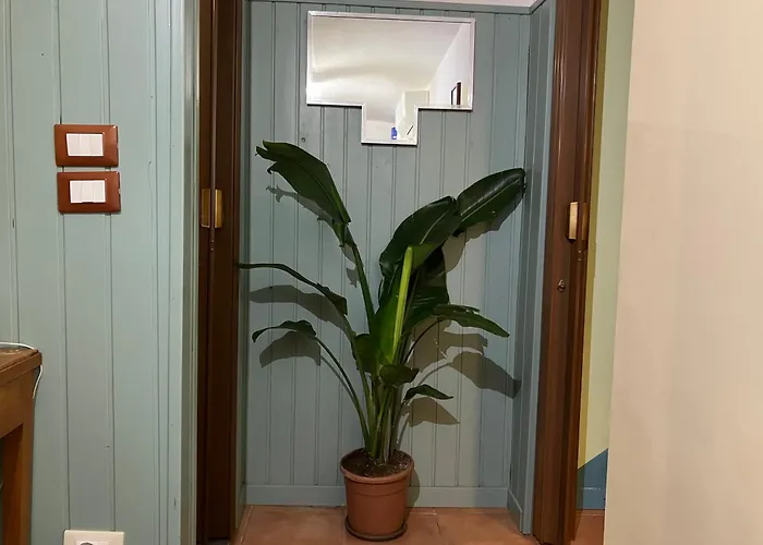 Pied At Terre * Trieste